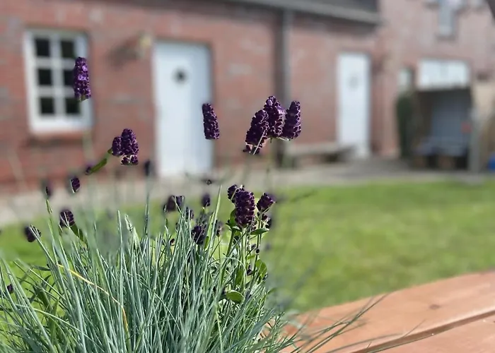 Frederik Brueckenblick *